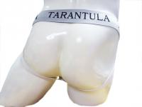 TARANTULA JOCKSTRAP WHT タランチュラ　ジョックストラップ 白 灰色バンド